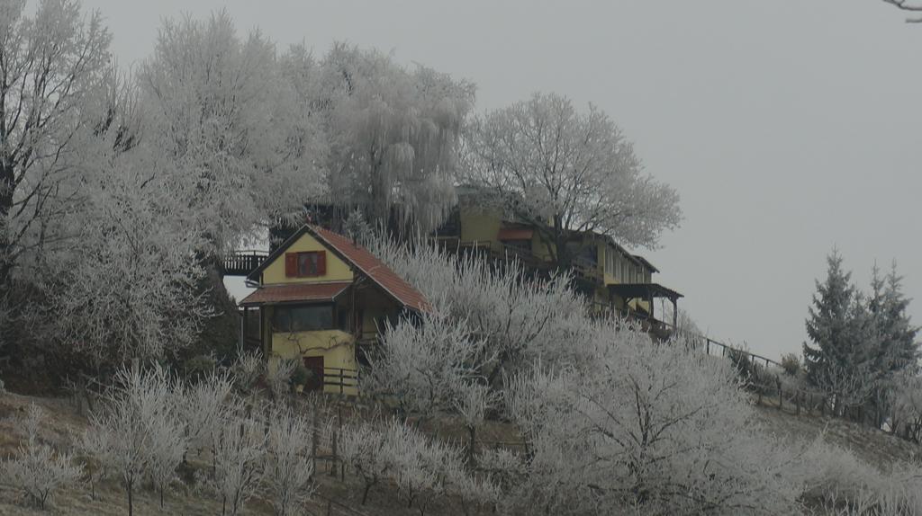 Country House Na Malenom Brijegu Bjelovar Exterior photo
